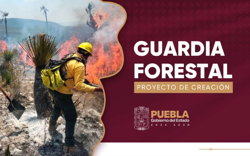 Guardia Forestal en Puebla prevendrá y combatirá incendios forestales