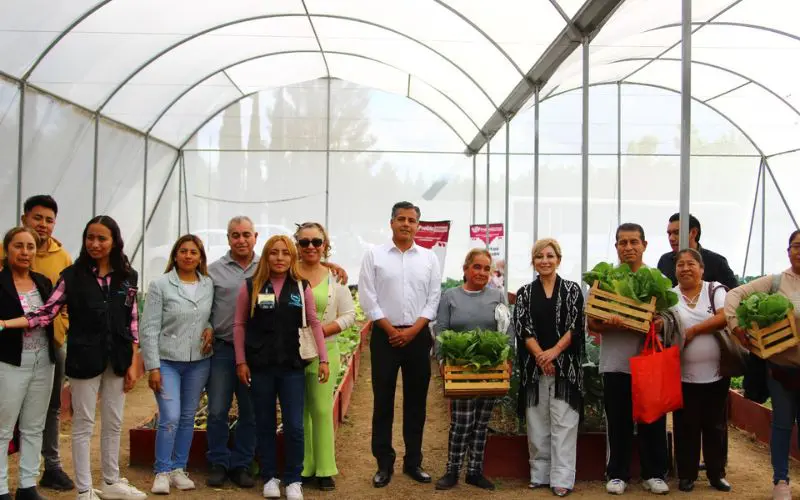 Ayuntamiento de Puebla dona 200 lechugas cultivadas en huerto urbano